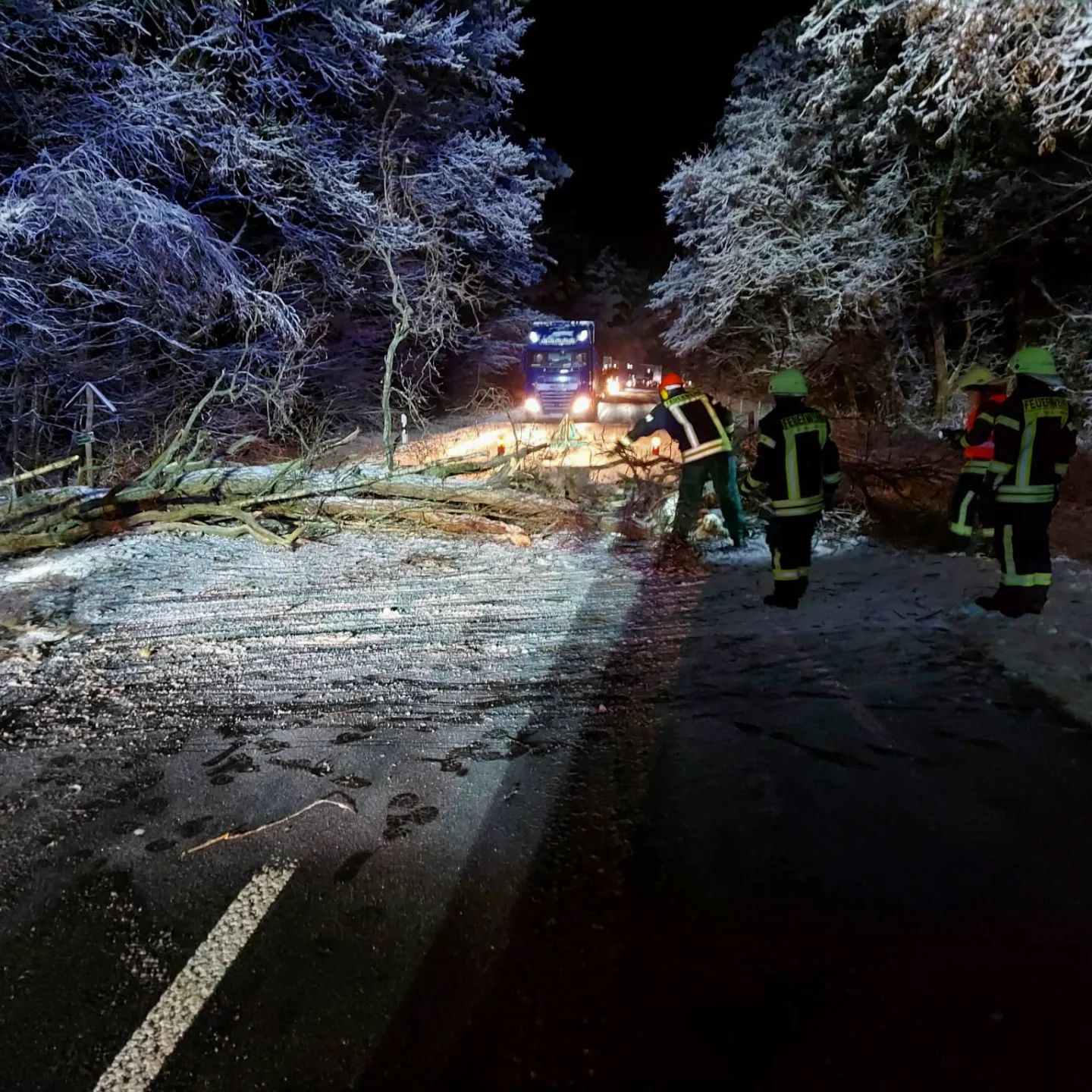 04 - H1 Baum auf Straße