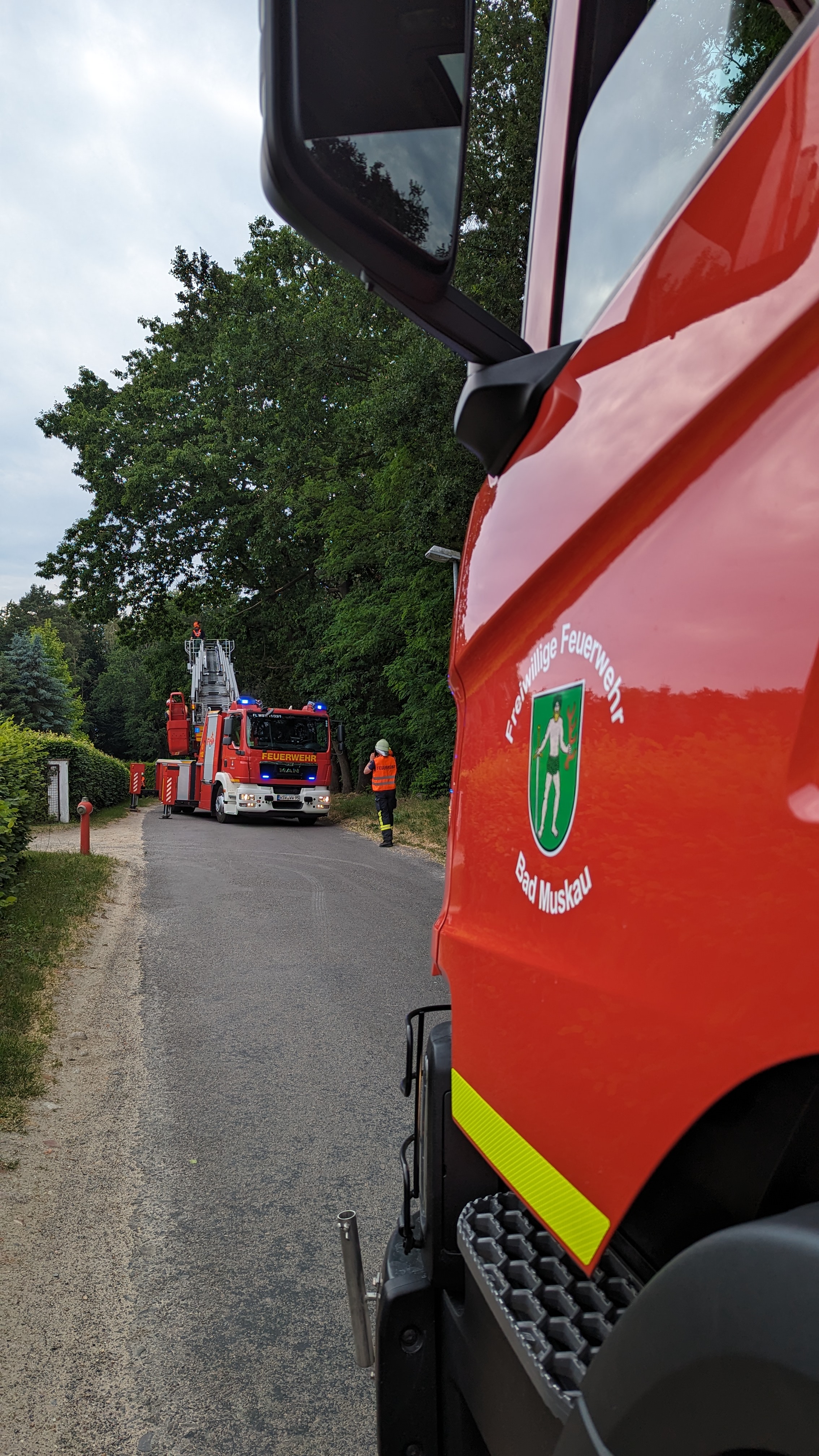 32 - H1 Baum auf Straße