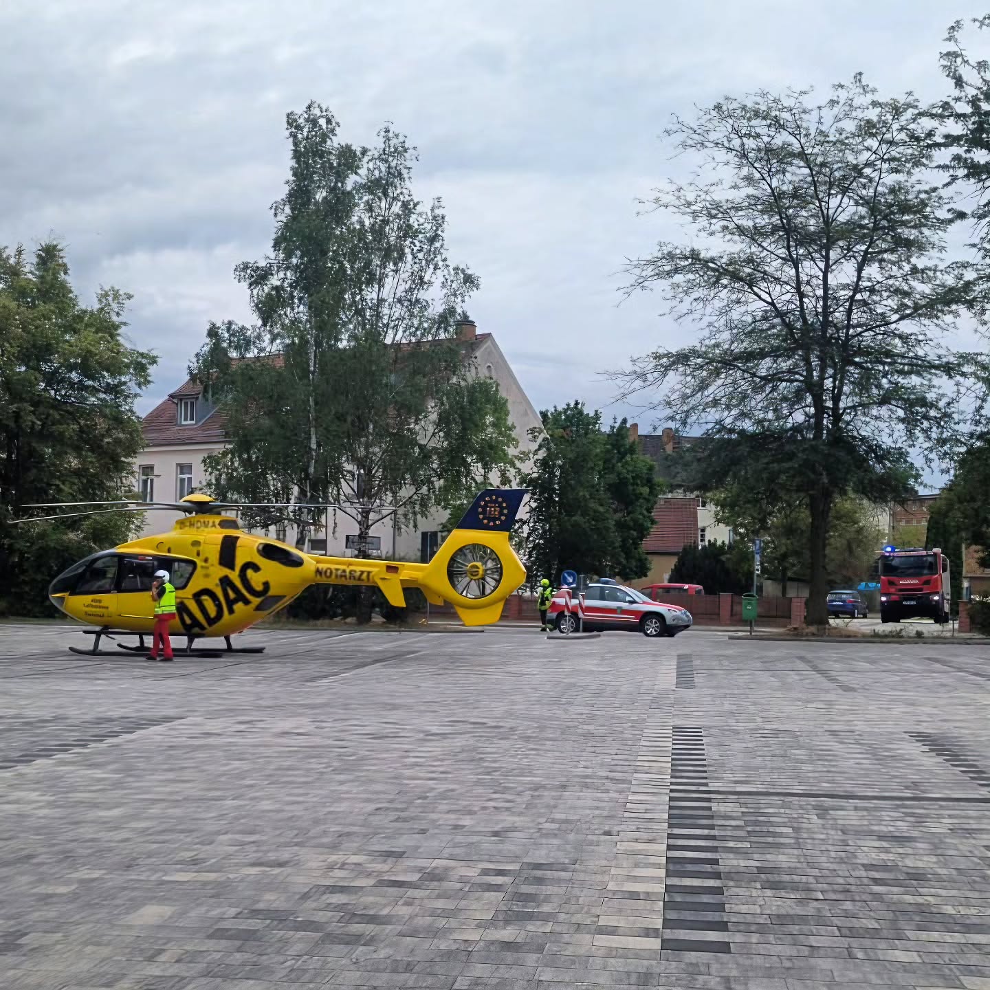41-42 - H1