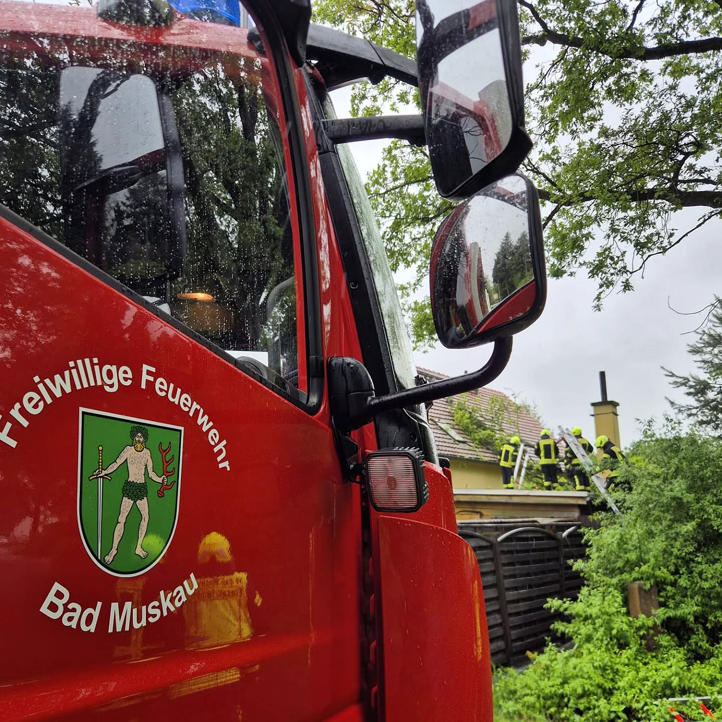 26 - H1 Baum auf Gebäude